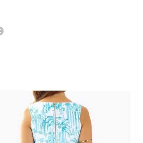 Lilly Pulitzer Blue and White Mini Skirt - Picture 2 of 14
